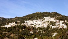 Antonimina